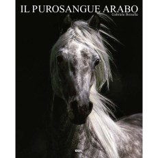 cavallo-arabo-copertina-libro-gabrilele-boiselle