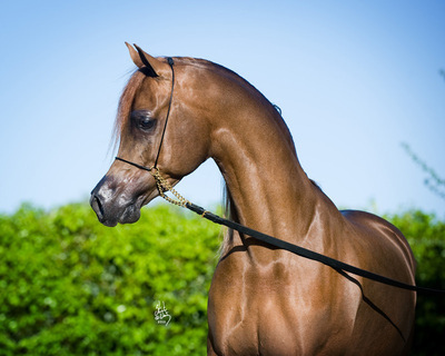 9159218208_19337e3179