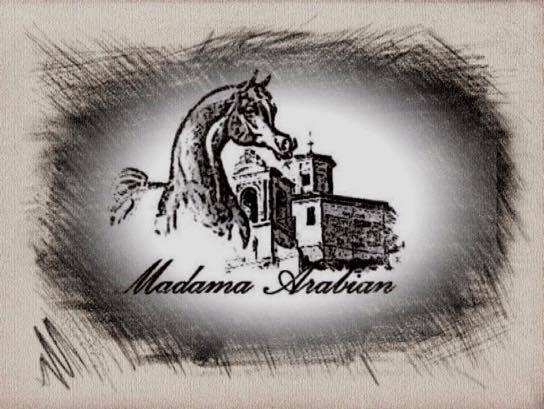 17353566_382825272096114_1778036450606035937_n