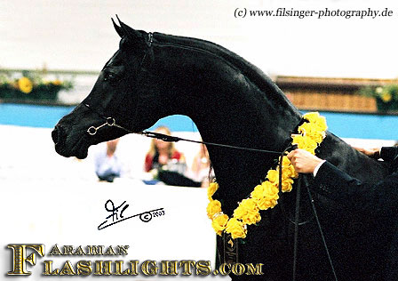 simeonsadik01_03-88-28